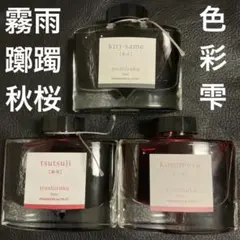 廃盤パイロット躑躅15ml×2セット色彩雫 万年筆インク沼つつじ 廃盤パイロット躑躅15ml×2セット色彩雫 万年筆インク沼つつじ - メルカリ