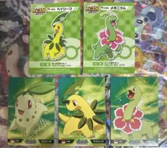 ポケモンキッズ カード チコリータ 進化セット - メルカリ