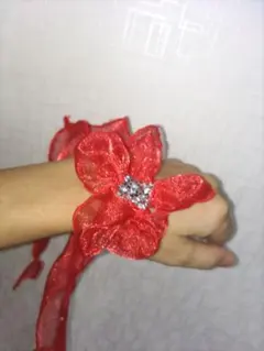 社交ダンスオーガンジーフロート赤