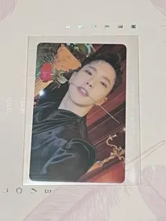 SEVENTEEN セブチ シーグリ ホシ トレカ