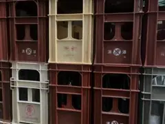 hakuhaku様専用　6個　赤3 黄3 ②