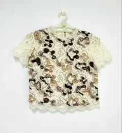 ZARA TRAFALUC レース ブラウス　半袖 刺繍　XS ザラ　Tシャツのサムネイル