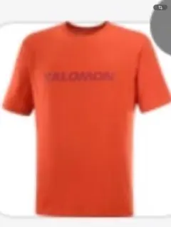 SALOMON サロモン Tシャツ Sサイズ