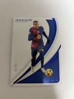 25シリ ハフィーニャ Panini immaculate 24-25