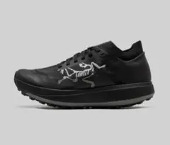 ARC'TERYX アークテリクス SYLAN PRO M シラン プロのサムネイル
