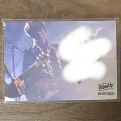 ミセス 若井滉斗 Atlantis フォトカード サイン入り