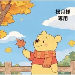 桜月様 リクエスト 4点 まとめ商品