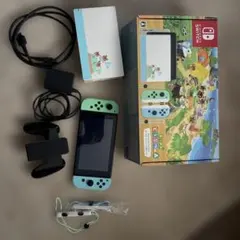 Nintendo Switch あつまれどうぶつの森セット