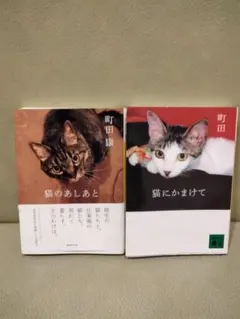 町田康　猫にかまけて　猫のあしあと　講談社文庫　フォトエッセイ