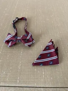 Item thumbnail for item bb6780b2-80eb-496c-a7a7-4f441ce9fd5e