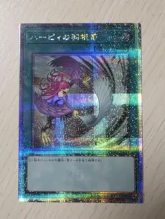 遊戯王 ハーピィの羽根帚 1枚 25th 絵違い ハーピィの羽根帚 25th 絵違い - メルカリ