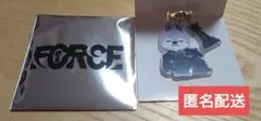 Stray Kids スキズ　バンチャン　FORCE シーグリ　キーホルダー