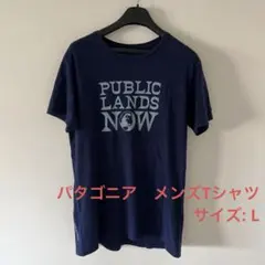 パタゴニア　メンズTシャツ　Lサイズ