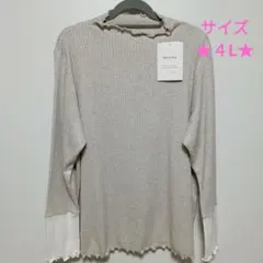 Item thumbnail for item 91e8b6e5-2a96-4ecf-8c30-491b203bf98b