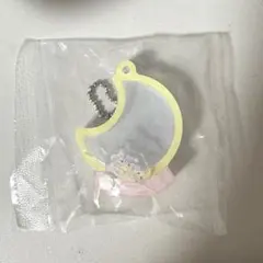 ポケモン ポケピースアクリルチャームコレクション