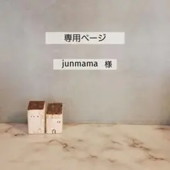 junmama様専用ページです
