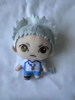 ハイキュー ぬいぐるみ 缶バッジ 鴎台高校 星海光来 - メルカリ