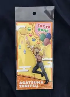 鬼滅の刃 東京ドームシティ アトラクションズ TDC アクリルスタンド 我妻善逸