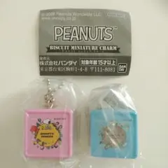 スヌーピー ビスケットミニチュアチャーム ２個セット PEANUTS
