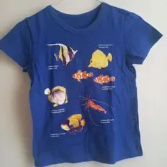 フェリシモ 魚のイラスト Tシャツ サイズ140のサムネイル