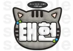 テヒョン TXT うちわ文字 ネームボード ぷっくり トゥバ