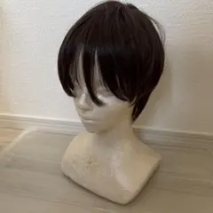 ウィッグ　コスプレ　髪　メンズ　ショート