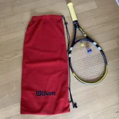 バボラウーファーのサムネイル