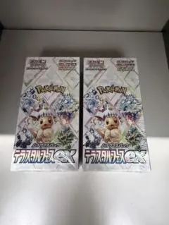 テラスタルフェスex シュリンク付き 2box