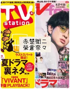 TV誌2誌　赤楚衛二　榮倉奈々　切り抜き