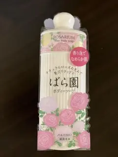 Item thumbnail for item a4110153-065c-44db-a00a-c91dc1d7302f