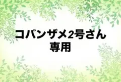 コバンザメ2号さん　専用