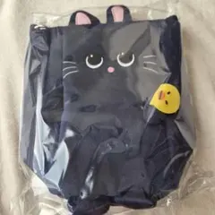 RIIZE ライズ ウォンビン　ペンライトバッグ ファンライト