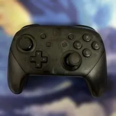 Nintendo Switch Pro Controller ブラック　ジャンク