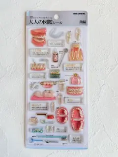 正規品 3D 大人の図鑑シール 歯編 カミオジャパン ステッカー