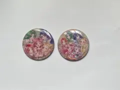 プリキュアオールスターズ BIG缶バッジBiscuit 2個セット