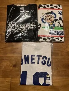 Item thumbnail for item 7f1f3ca5-cb25-4aae-88ca-70baf4a23004