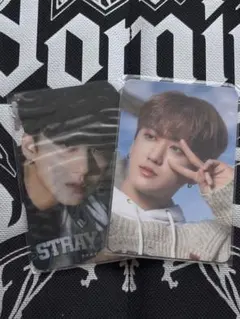 今後出品予定様 リクエスト 2点 まとめ商品