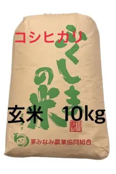 福島 こしひかり 100% 20kg 玄米 新米 有機肥料 送料無料 - メルカリ