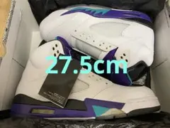 ★タグ付新品未使用★NIKE AIR JORDAN 5 GRAPE 27.5cmのサムネイル