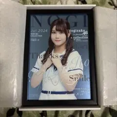 2026年最新】乃木フェス パブミラーの人気アイテム - メルカリ