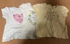 キッズ 半袖シャツ 3枚セット