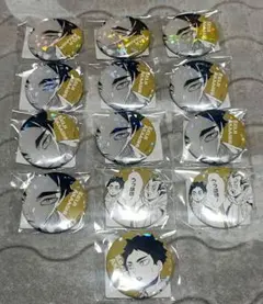 ハイキュー 赤葦京治 オールスター 缶バッジ ゴミ捨て場の決戦 13点セット