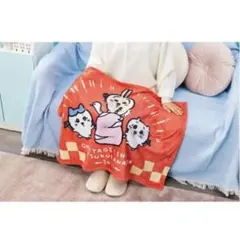 ちいかわ⑅ハッピーバッグ2025(巳年)⑅ブランケット