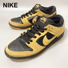 ナイキダンクSBローアイオワ sb dunk low iowa Nike SB Dunk Low 