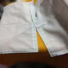 Item thumbnail for item 578fb30a-91ed-4117-8b6a-964b215db431