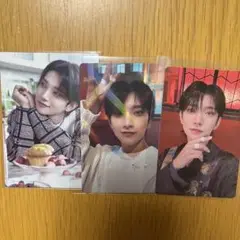 seventeen タレントカード