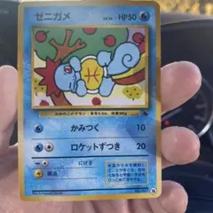 ゼニガメ イントロパック