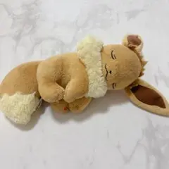 イーブイ ぬいぐるみ お昼寝イーブイ　ポケモンセンター