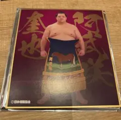 Item thumbnail for item 3c684012-79d1-4c76-9e9b-0e527ffba495