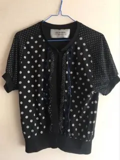 pas de calais ドット柄 半袖トップス　パドカレ　サイズ38のサムネイル